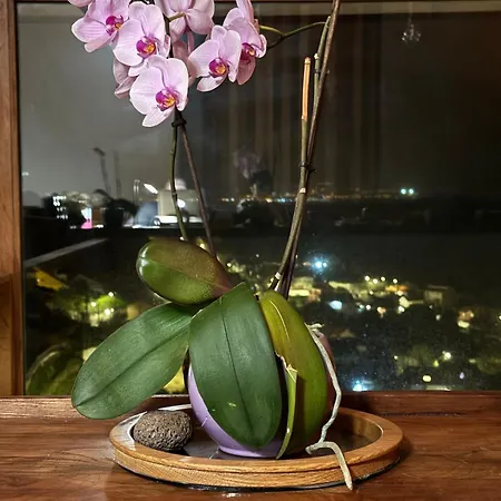 Loft Con Impresionantes Vistas A Islas Cíes * Darbo